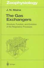 The Gas Exchangers: Structure, Function, and Evolution of the Respiratory Processes