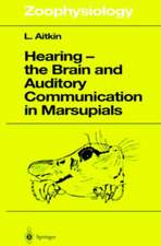 Hearing - The Brain and Auditory Communication in Marsupials