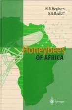 Honeybees of Africa