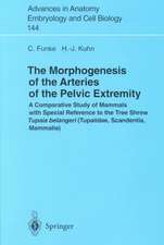 The Morphogenesis of the Arteries of the Pelvic Extremity: A Comparative Study of Mammals with special Reference to the Tree Shrew Tupaia belangeri (Tupaiidae, Scandentia, Mammalia)