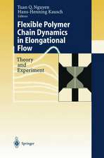 Flexible Polymer Chains in Elongational Flow: Theory and Experiment