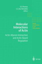 Molecular Interactions of Actin