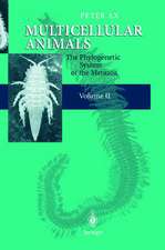 Multicellular Animals: Volume II: The Phylogenetic System of the Metazoa