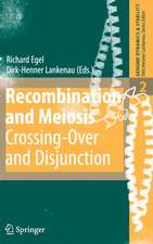 Recombination and Meiosis: Crossing-Over and Disjunction