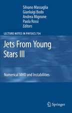 Jets From Young Stars III: Numerical MHD and Instabilities