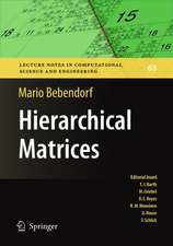 Hierarchical Matrices