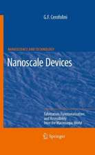 Nanoscale Devices: Fabrication, Functionalization, and Accessibility from the Macroscopic World