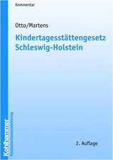 Kindertagesstättengesetz Schleswig-Holstein