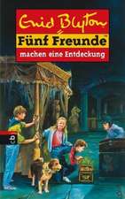 Fünf Freunde 21. Fünf Freunde machen eine Entdeckung