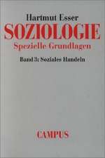 Soziologie. Spezielle Grundlagen 3