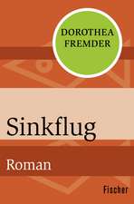 Sinkflug