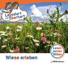 Lesestart mit Eberhart - Wiese erleben