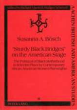 -Sturdy Black Bridges- On the American Stage