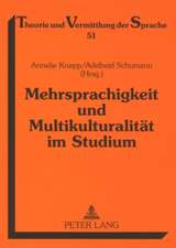 Mehrsprachigkeit Und Multikulturalitaet Im Studium