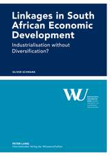 Linkages in South African Economic Development