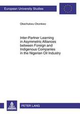 Inter-Partner Learning in Asymmetric Alliances Between Foreign and Indigenous Companies in the Nigerian Oil Industry