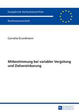 Mitbestimmung Bei Variabler Verguetung Und Zielvereinbarung: Exonerating Luke from an Ancestral Exegetical and Theological Burden