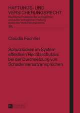 Schutzluecken Im System Effektiven Rechtsschutzes Bei Der Durchsetzung Von Schadensersatzanspruechen: Wahrnehmungen Durch Die Zeitgenossen in Den Herzogtuemern Schleswig Und Holstein Bis 1871