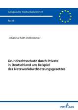 Grundrechtsschutz durch Private in Deutschland am Beispiel des Netzwerkdurchsetzungsgesetzes