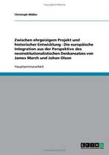 Zwischen ehrgeizigem Projekt und historischer Entwicklung - Die europäische Integration aus der Perspektive des neoinstitutionalistischen Denkansatzes von James March und Johan Olson