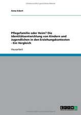 Pflegefamilie oder Heim? Die Identitätsentwicklung von Kindern und Jugendlichen in den Erziehungskontexten - Ein Vergleich