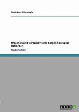 Ursachen und wirtschaftliche Folgen korrupter Behörden