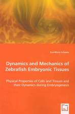 Dynamics and Mechanics of Zebrafish Embryonic Tissues