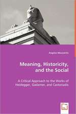 Meaning, Historicity, and the Social