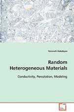 Random Heterogeneous Materials