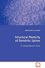 Structural Plasticity of Dendritic Spines