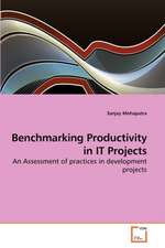 Benchmarking Productivity in IT Projects