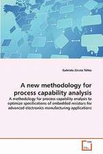 A New Methodology for Process Capability Analysis