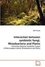 Interaction Between Symbiotic Fungi, Rhizobacteria and Plants