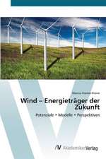 Wind - Energieträger der Zukunft