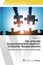 Die virtuelle Zusammenarbeit deutsch-türkischer Kooperationen