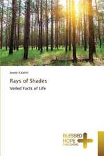 Rays of Shades