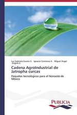 Cadena Agroindustrial de Jatropha Curcas: Metodo del Arco Atirantado