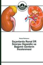 S¿çanlarda Renal ¿/R Sonras¿ Hepsidin ve Ba¿¿ml¿ Genlerin ¿ncelenmesi