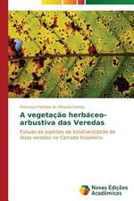 A Vegetacao Herbaceo-Arbustiva Das Veredas: Consequencias Da Escolha No Fluxo de Caixa