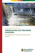 Adolescente Em Liberdade Assistida: Jayme Florence E Sua Atividade Artistica