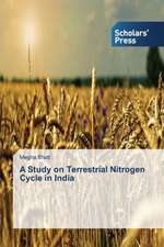 A Study on Terrestrial Nitrogen Cycle in India