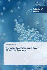 Nanobubble Enhanced Froth Flotation Process