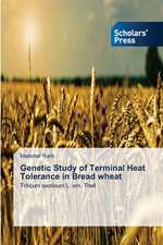 Genetic Study of Terminal Heat Tolerance in Bread Wheat: Prospects