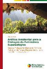 Analise Ambiental Para a Protecao Do Patrimonio Espeleologico: O Estudo de Um Caso