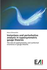 Instantons and Perturbative Analysis in Supersymmetric Gauge Theories