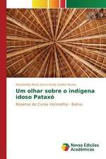 Um Olhar Sobre O Indigena Idoso Pataxo: Praticas E Discursos