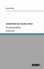 Arbeitsfelder der Sozialen Arbeit