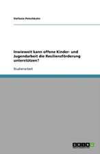 Inwieweit kann offene Kinder- und Jugendarbeit die Resilienzförderung unterstützen?