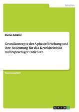 Grundkonzepte der Aphasieforschung und ihre Bedeutung für das Krankheitsbild mehrsprachiger Patienten