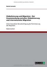 Globalisierung und Migration - Der Zusammenhang zwischen Globalisierung und internationaler Migration